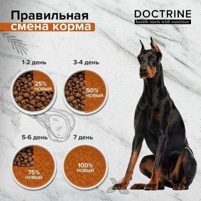 Doctrine БЕЗЗЕРНОВОЙ ГИПОАЛЛЕРГЕННЫЙ корм для собак всех пород (Индейка)
